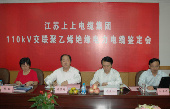 江蘇上上電纜集團額定電壓110kV交聯(lián)聚乙烯絕緣電力電纜產品通過鑒定