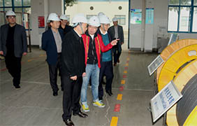 2015年11月22日，郎溪縣黨政代表團(tuán)一行來上上電纜參觀考察
