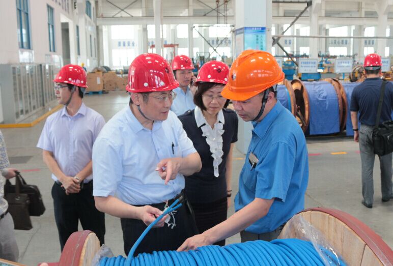 2016年7月22日，瀘州市委常委、副市長(zhǎng)王建翔一行來(lái)上上電纜參觀考察