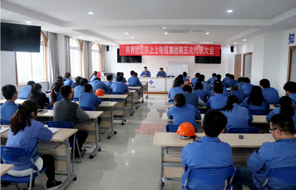 2016年4月20日，共青團(tuán)江蘇上上電纜集團(tuán)第五次代表大會(huì)召開
