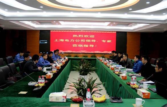 上海電力公司、上纜所領(lǐng)導(dǎo)、專家一行來上上電纜交流考察