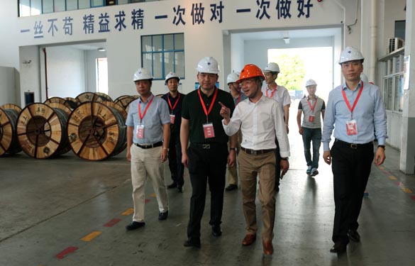 靖江市、溧陽(yáng)市青商會(huì)齊聚上上電纜參觀交流