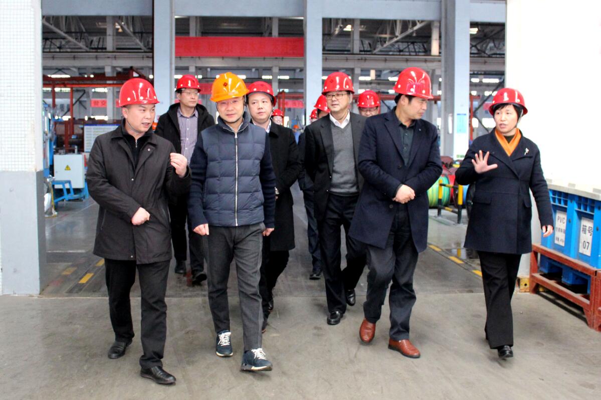 2019年3月7日，廣安市岳池縣考察團(tuán)來(lái)上上電纜參觀考察