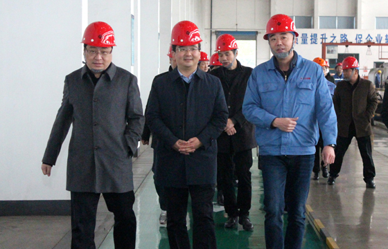 2020年12月8日，廣德市市委常委、常務(wù)副市長(zhǎng)邱鐵軍一行來上上電纜考察